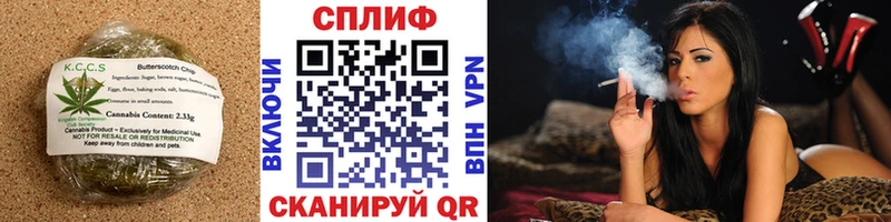 Купить закладки  Жуковский  Еда ТГК конопля 