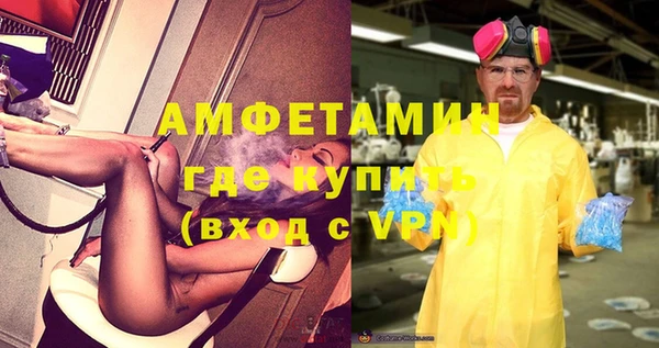 сатива Балахна