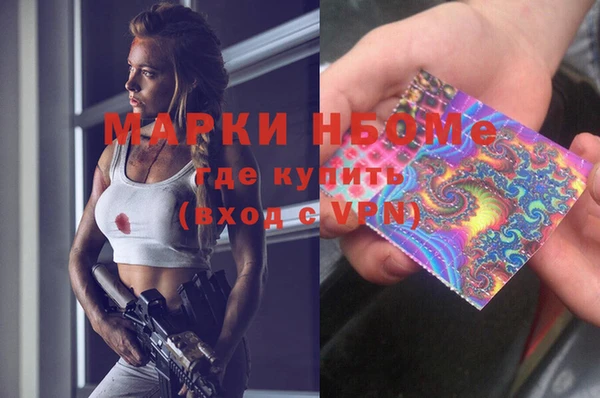 сатива Балахна