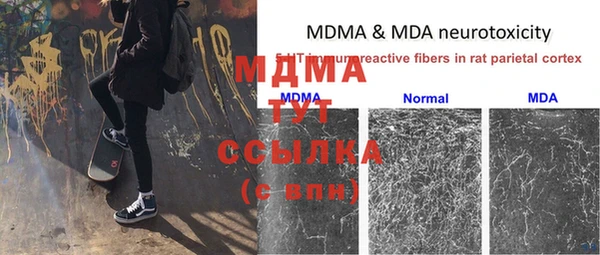 сатива Балахна