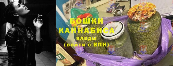 сатива Балахна